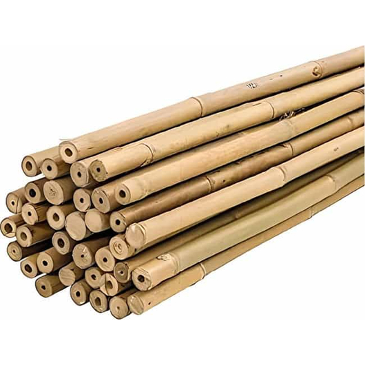 25 Canne di Bamboo per orto 150 cm Bambù tutori sostegno per piante canna